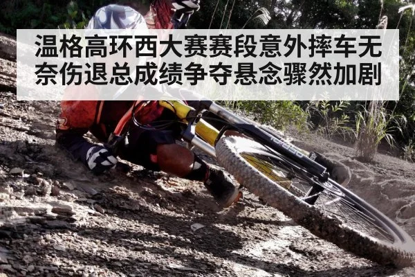 温格高环西大赛赛段意外摔车无奈伤退总成绩争夺悬念骤然加剧