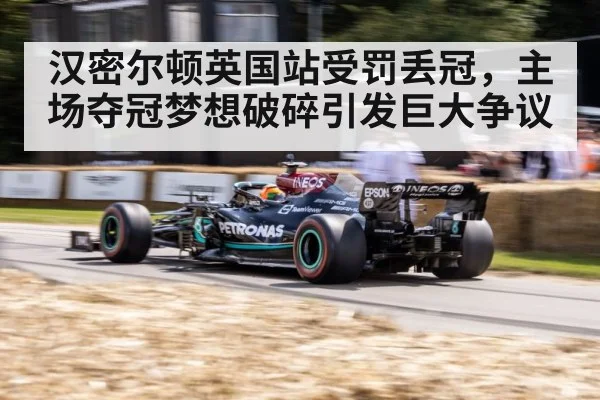 汉密尔顿英国站受罚丢冠，主场夺冠梦想破碎引发巨大争议
